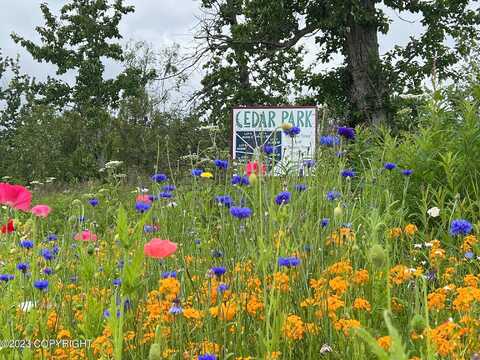 L3 B7 E Blue Atlas Circle, Palmer, AK 99645