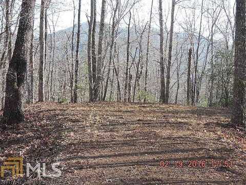 L28 Lot 29 Hidden River, Hayesville, NC 28904