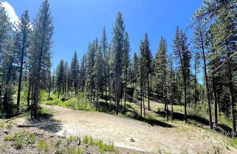 L16 B1 Shaw Gulch Road, Idaho City, ID 83631