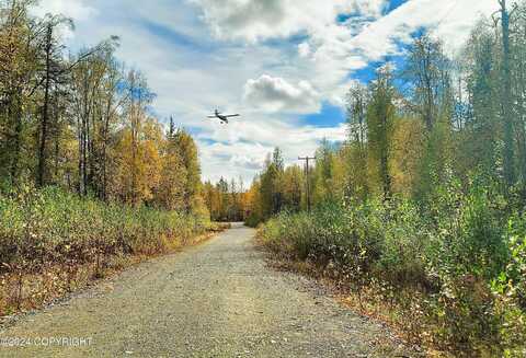 L1-13 S Clara Circle, Talkeetna, AK 99676