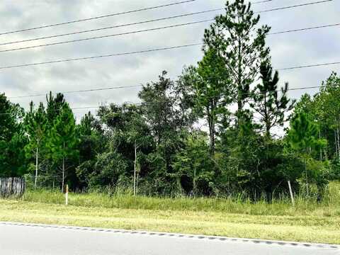 Highway 98, Elberta, AL 36530