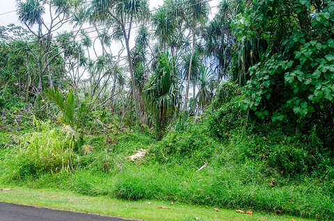 Haukeuke St, Pahoa, HI 96778