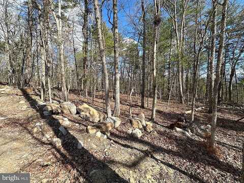 Forest Ext Dr, Luray, VA 22835