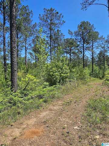 County Road 454, Clanton, AL 35045