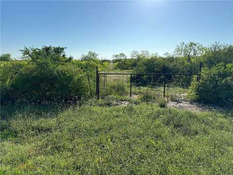 County Road 2391, Orange Grove, TX 78372