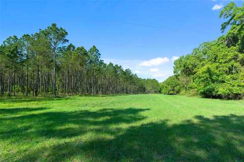 County Road 1469, Hawthorne, FL 32640