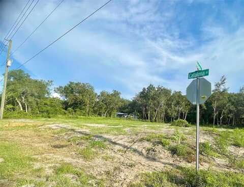 Catalona Ave, New Pt Richey, FL 34654