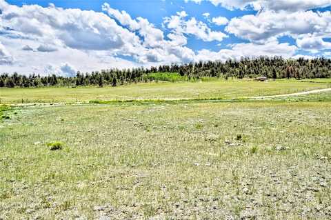 Black Hawk Road, Hartsel, CO 80449