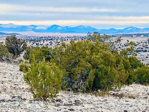 Big Six Ranches Unit 2 Lot 9 --, Concho, AZ 85924