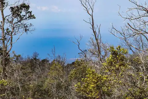 Tiki Ln, Ocean View, HI 96737