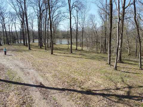 Island View Dr, Bath Springs, TN 38311