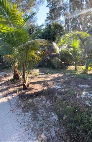 Little Gasparilla Island, Placida, FL 33946