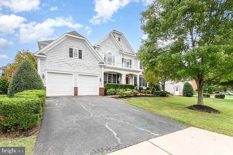 Link Hills, GAINESVILLE, VA 20155