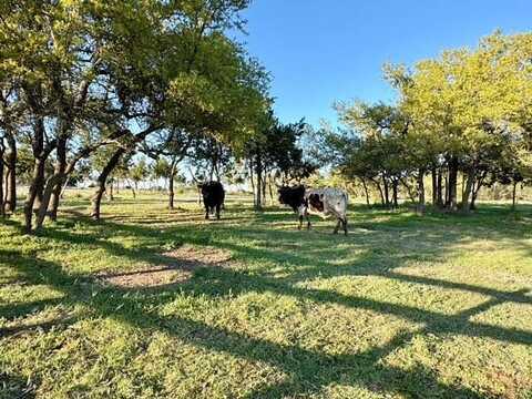 Fitzhugh Road, Dripping Springs, TX 78620