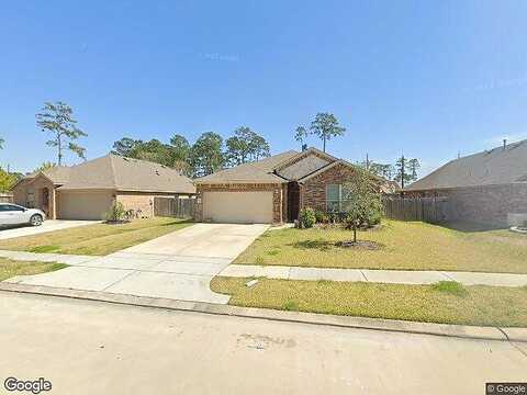 Erasmus Landing, HOUSTON, TX 77044