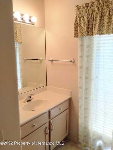 Pine, HOMOSASSA, FL 34446