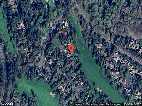 Merganser, BLAINE, WA 98230