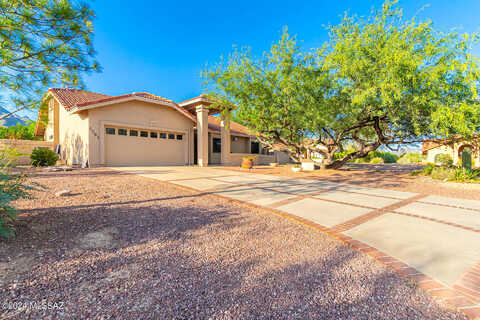 Cholla, TUCSON, AZ 85750