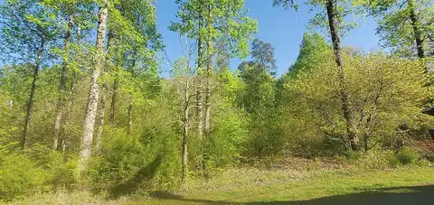 Lot 258 Pine Loop Dr, Madisonville, TN 37354