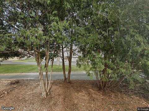 Palm, MINNEAPOLIS, MN 55433
