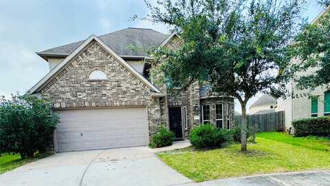 Honey Bird, RICHMOND, TX 77407