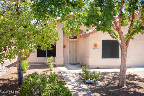 Pegasus, TUCSON, AZ 85742
