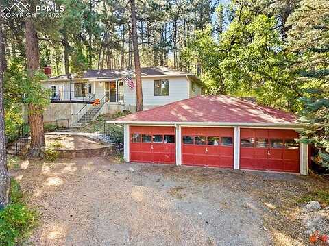 Pine, BEULAH, CO 81023