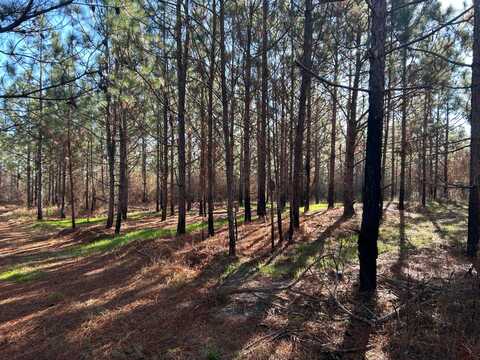 1 Sellers Pond Rd, Red Level, AL 36474