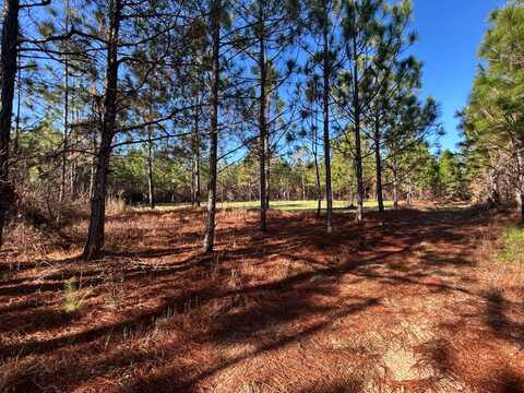 1 Sellers Pond Rd, Red Level, AL 36474