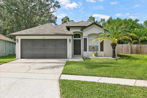 Long Meadow, TAMPA, FL 33615