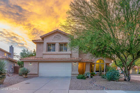 Surprise Canyon, TUCSON, AZ 85748