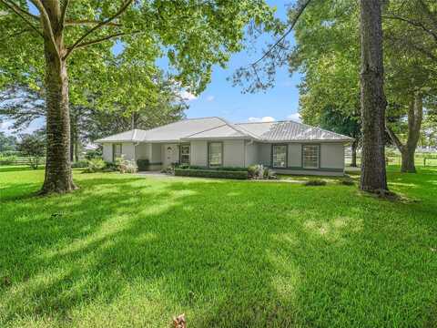 162Nd, MORRISTON, FL 32668