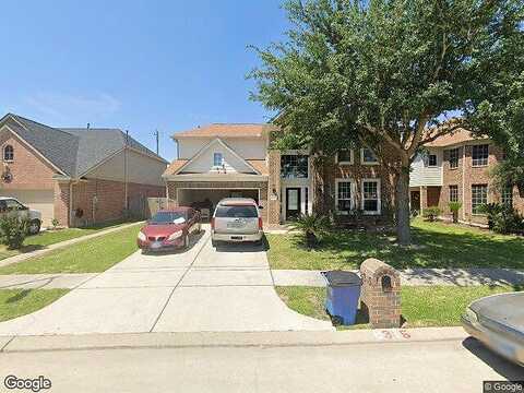 Chicory, BAYTOWN, TX 77521