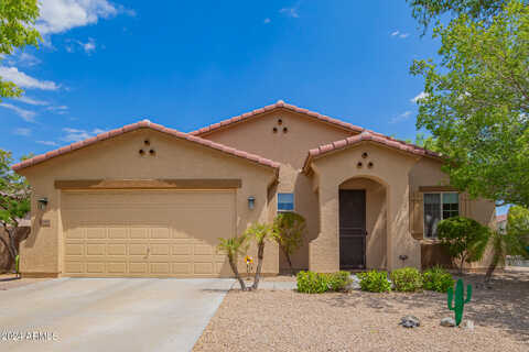 Hedge Hog, PEORIA, AZ 85383
