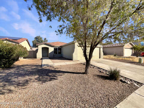 Centipede, TUCSON, AZ 85742