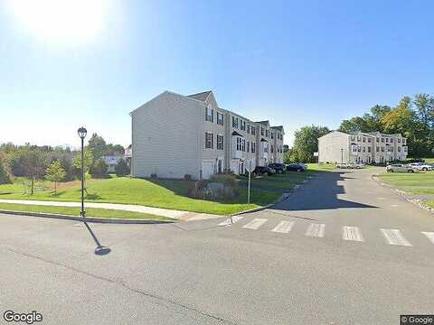 Yellow Rose, EASTON, PA 18045