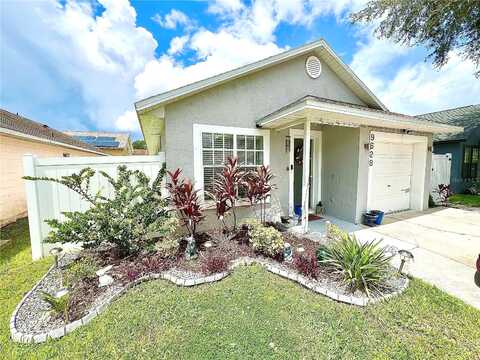 Lupine, ORLANDO, FL 32824