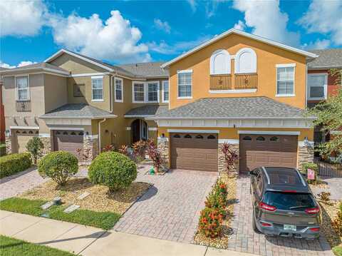 Silver Buttonwood, ORLANDO, FL 32832