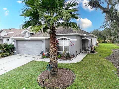 Creedmoor, NEW PORT RICHEY, FL 34654
