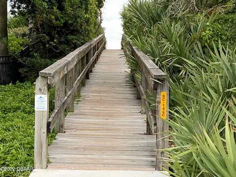 Bluefish, NEW SMYRNA BEACH, FL 32169