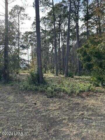 14 Remington Road, Bluffton, SC 29910