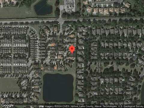 Roseate Spoonbill, WINDERMERE, FL 34786