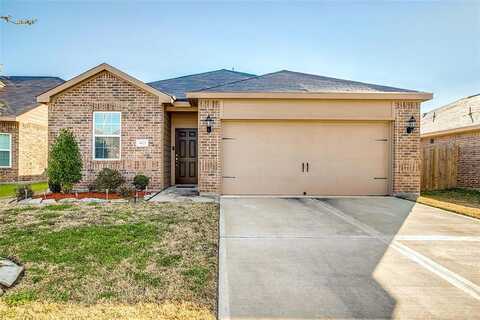 Skyblue, ROSHARON, TX 77583
