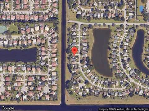 Chrysanthemum, BOYNTON BEACH, FL 33472
