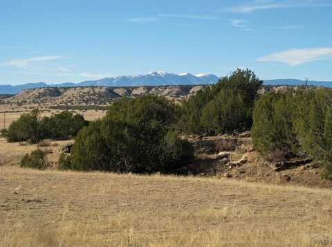 Lot 100 Narrow Gauge Way, Rye, CO 81069