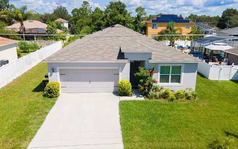 Flatfish, KISSIMMEE, FL 34759