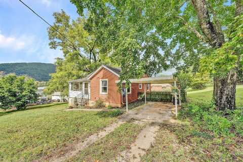 17Th, BUCHANAN, VA 24066