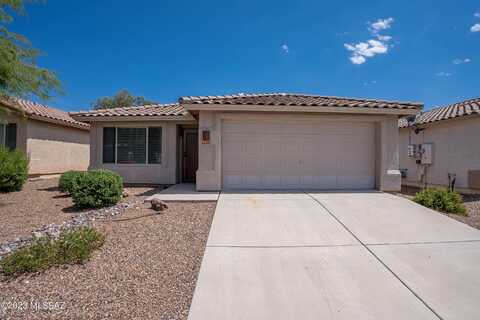 Sweet Acacia, TUCSON, AZ 85742