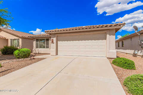 Sweet Acacia, TUCSON, AZ 85742