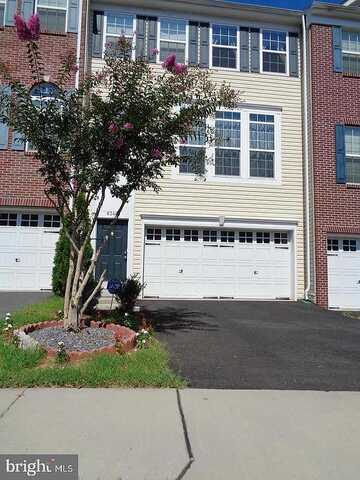 Leighlex, MANASSAS, VA 20111